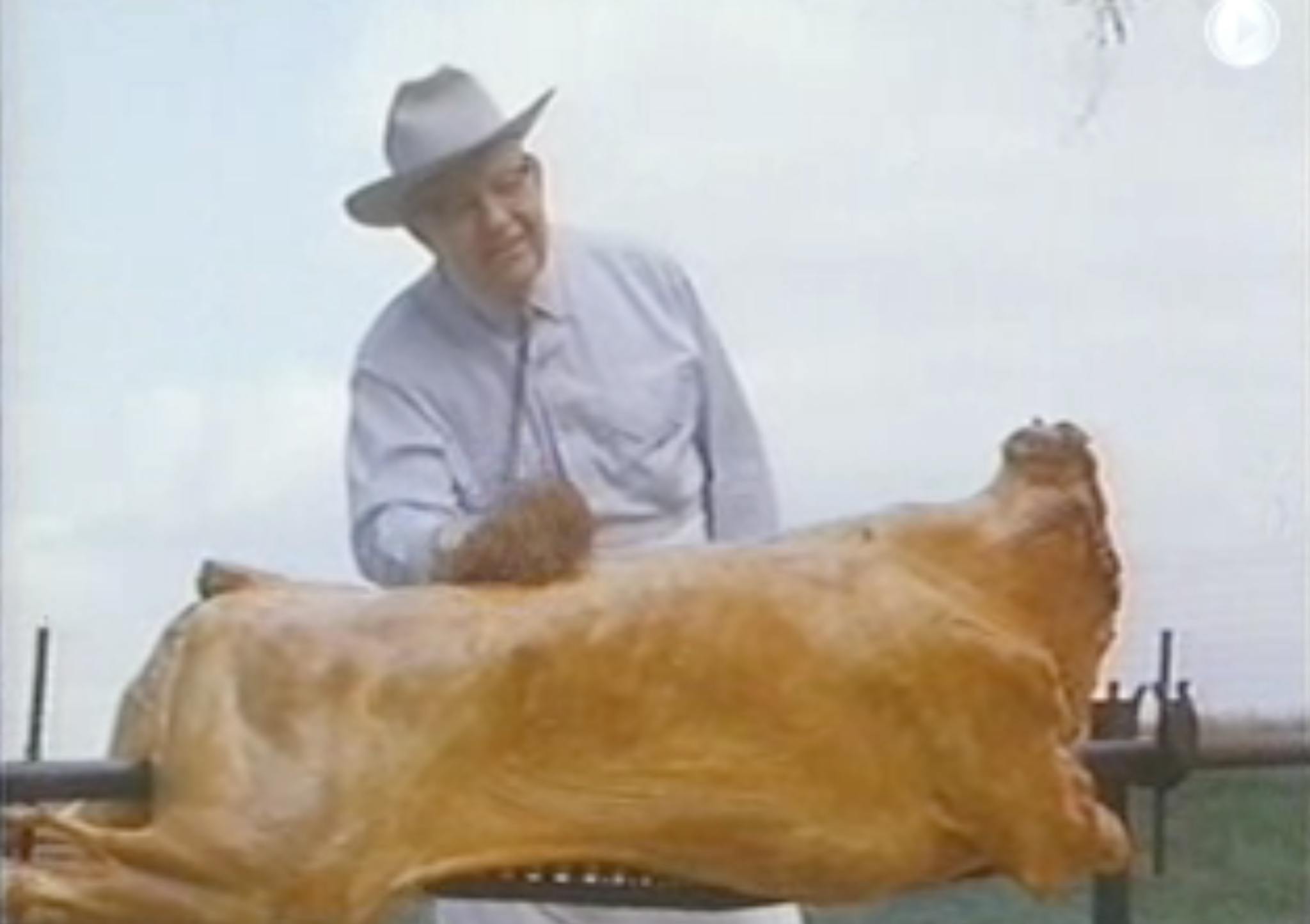 Walter Jetton basting a whole steer over an open pit